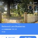 채경농장 이미지