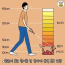서울시야생동물센터 | 유기견 산책봉사 후기 | 서울동물복지지원센터(마포)