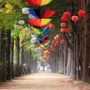 (주)사람과풍경