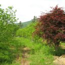 평우농장 이미지