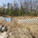 여주-1000 이미지