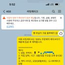 러빗케이크