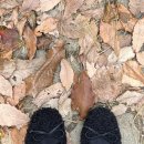 차이런 | 스위치온 다이어트 3주차 후기