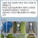 우림팜 이미지
