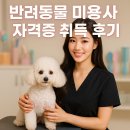 야간)미용사(일반)자격과정 | 반려동물 미용사 자격증 취득 후기 꿀팁