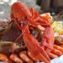 조산초등학교 | 양양 낙산 맛집 추천, 음식점, 해물, 한우