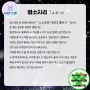 2020년 경자년 별자리운세 [ 황소자리 ] 이미지