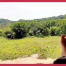 지리산둥이네