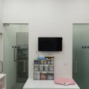 워너비동물병원 용산점 이미지