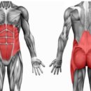 커스텀짐한림점 이미지