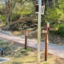 작천정별빛야영장 이미지