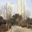 경기도 수원시 영통구 센트럴파크로 네이버블로그