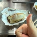 벚굴식당 | [하동] 벚굴 맛집 벚굴식당 후기 | 굴 크기 미쳤다… 녹진한 벚굴 먹고 온 후기