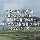 시선 이미지