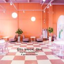 비비(BB)하우스 이미지