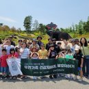 드림식품