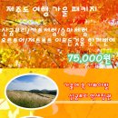 제주버스여행