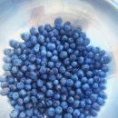 개안농장 이미지