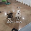 개구멍 이미지