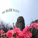 전라도거시기 이미지