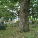 사촌마을자료관 이미지