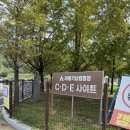 가정보금자리(b89119) | 포천 애견 동반 가능한 비둘기낭캠핑장 우중 캠핑 후기