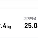 먼투프