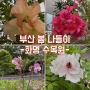 화명수목원관리사업소 | 부산 봄 나들이 추천장소 [화명수목원]