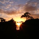 일출약국 이미지