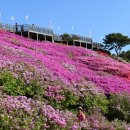 백양산 애진봉 이미지