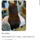 원우헤어샵 | 🌸햇빛에서 더 이쁜 염색? 수원 염색 맛집은 여기!🌸