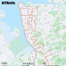 명품을 달리다 TREK