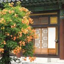 봉녕사 - 934 | 봉녕사