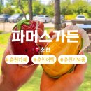 신샘밭로1 | 춘천 여행 가볼만한곳 춘천 빵집 대형카페 파머스가든 구황작물빵 후기 및 주차정보