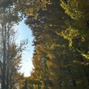 르벤토호텔 이미지