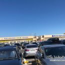 [태안 여행] 태안 안면도 백사장 대하축제 다녀왔어요:)