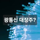 세계통신 | 엔비디아도 줄 섰다? 데이터센터 혈관 '광통신 관련주' Top4