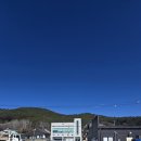 수미식당 이미지