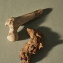 Life Body shop 이미지