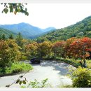 속리산말티재자연휴양림 이미지