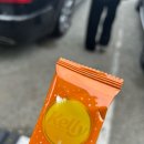 부산갈매기(원동점) 네이버블로그