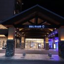 로카와 델피노1 이미지