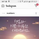 인셀덤하다 이미지