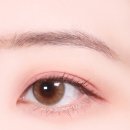 lilybyred:: 릴리바이레드 신상 웜앤온리 웜톤 화력 올려!! 번앤힛 컬렉션 출시! 전 제품 발색해봤어요
