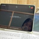 순천향대학교 교육대학원 | 유아교육대학원 면접후기/순천향대학교 교육대학원(교육학과_유아교육전공)면접후기