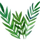 목동최고부동산공인중개사사무소 이미지