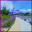버들문구 | 신안 버들마편초 축제 투어! 신안반월도 전동카트 여행과 신안퍼플교 입장료 면제 꿀팁
