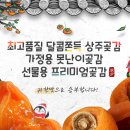 더과일상회 이미지