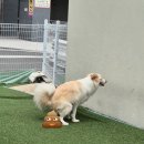 프로네앞마당 이미지