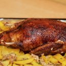 내일또오리 이미지